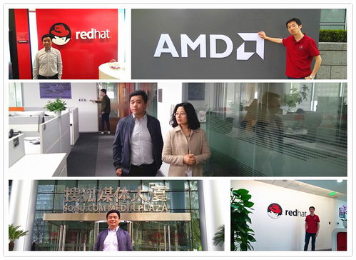 格莱科技携手格梵科技，深化上游沟通对接，探索产业协同新范式